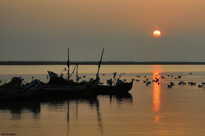 ahcravo_DSC_8407 chegado