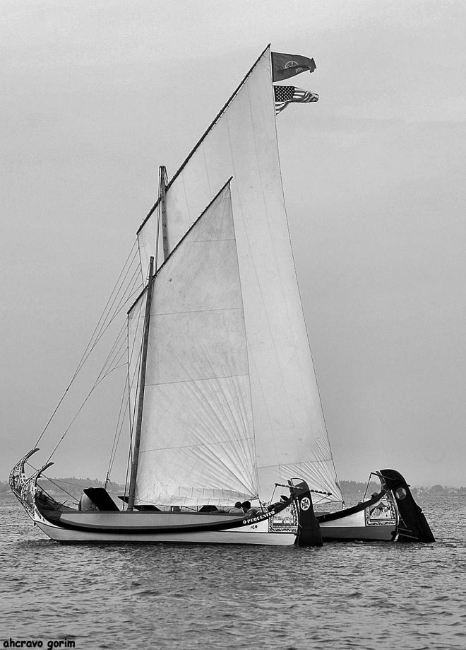 ahcravo_DSC_4237 bw