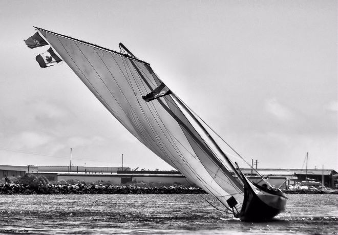 quem tem unhas toca guitarra, ditado popular