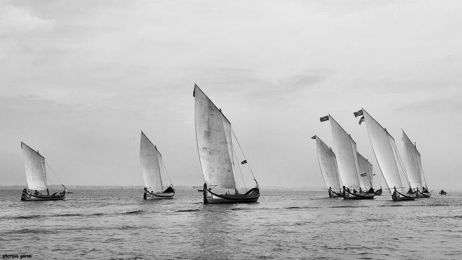 gosto da ria assim, mas a cada ano que passa, parece mais impossível 