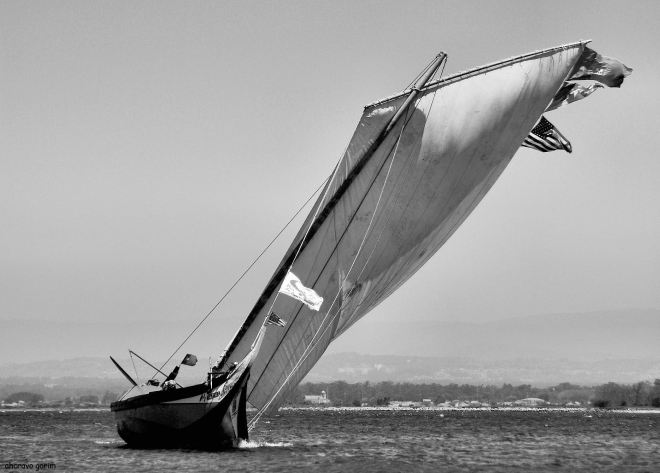 ahcravo_DSC_9756_a rendeiro bw