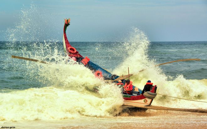 ahcravo_DSC_4009_marco 13