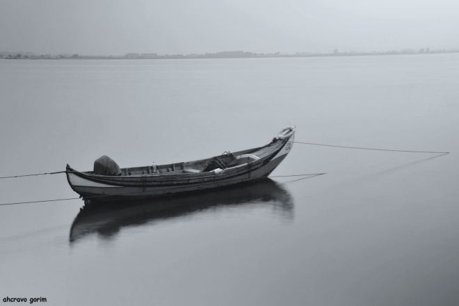 entre a palavra e a imagem o sentir