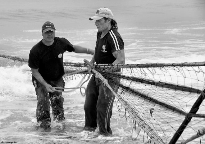 o vitó e o massa no amarrar da manga