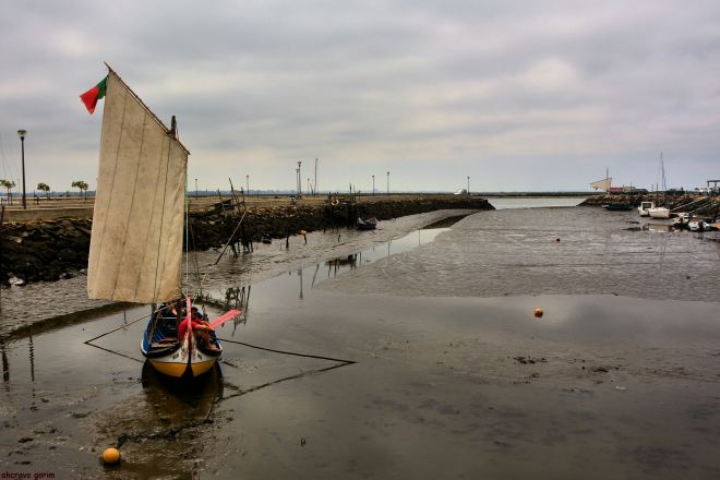 não comento o estado dos portos de abrigo da murtosa, nem os milhões ali gastos com fundos comunitários e nossos. mostro o que vejo
