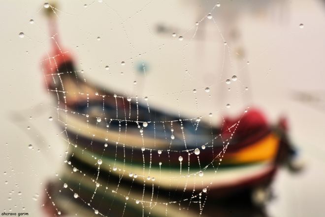 não fiques preso na teia, sabe porém vê-la