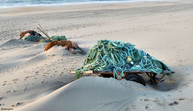 resistir para ser de novo