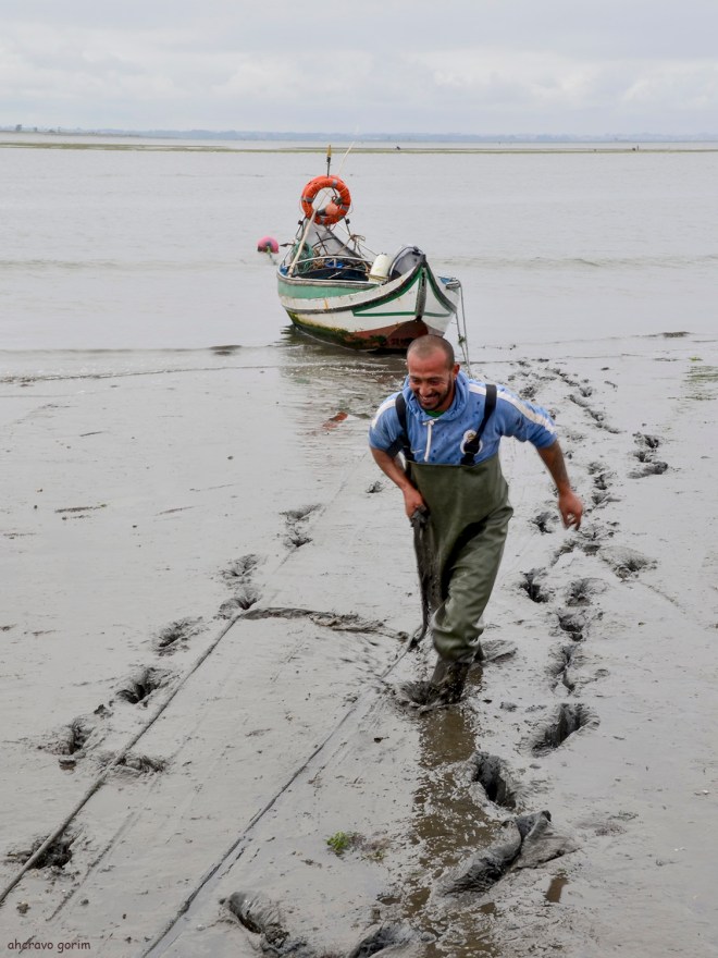 o meu amigo aú vai amarrar a bateira