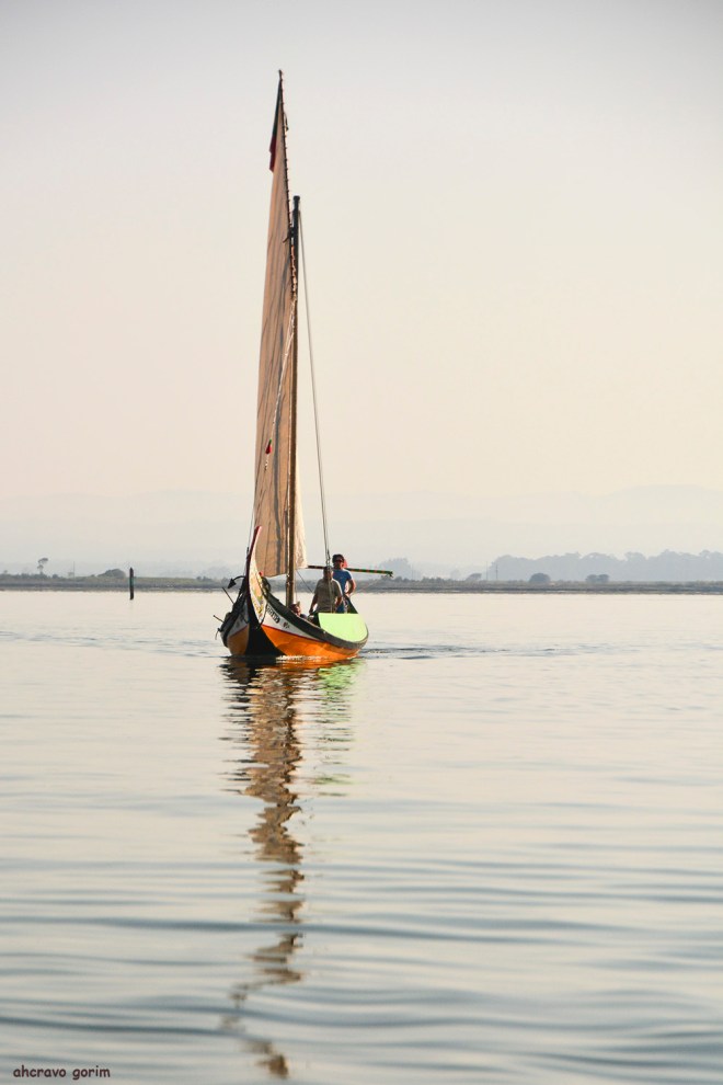 o domo é o mestre felisberto amador (caçoilo)