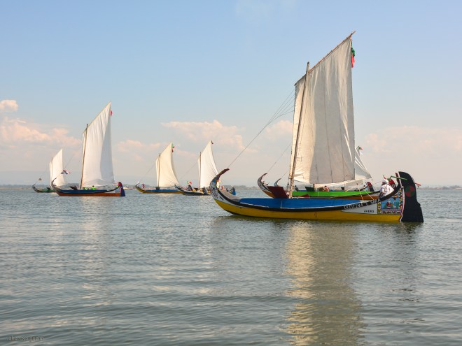 onde não corre vento, correm os olhos