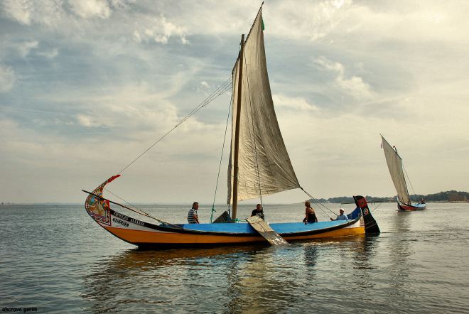 a beleza é a ternura dos dias