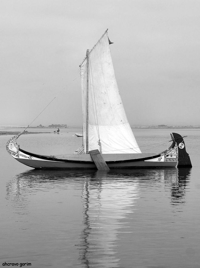 o moliceiro em repouso