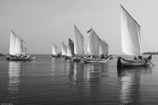 a harmonia da ria - esta foto está no meu livro "sou tudo o que aqui encontras"