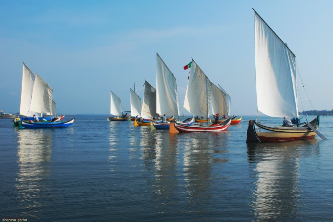 sem vento e com velas, o esplendor da ria