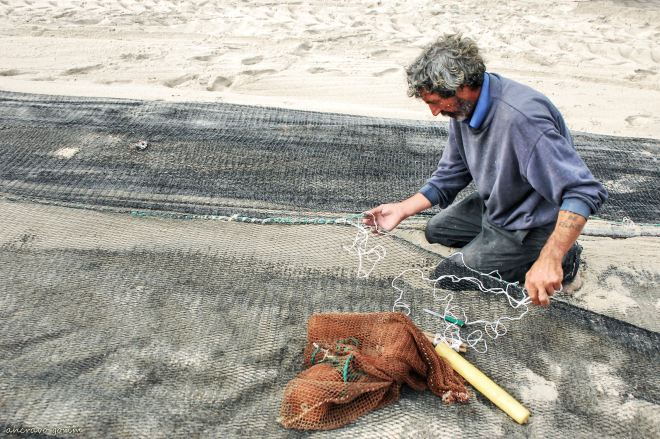 ahcravo_DSC_8988_ porfiar