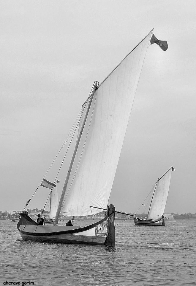 ahcravo_DSC_4238 bw