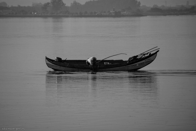 o pescador escolhe bivalves com o redenho da cabrita dentro de água, depois de lavado das lamas 