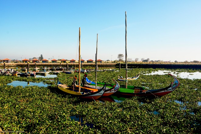 dia 10 de novembro estava assim o bico, na maré vazia
