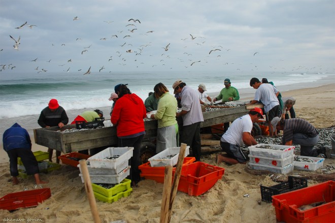 saber escolher é saber do ganho