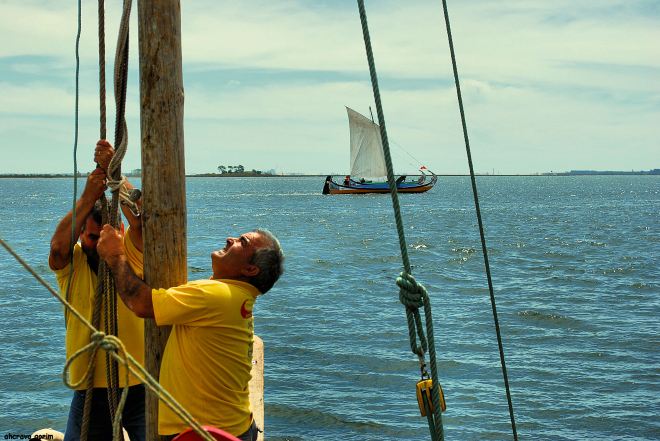 ahcravo_DSC_6804 regata moliceiros bico