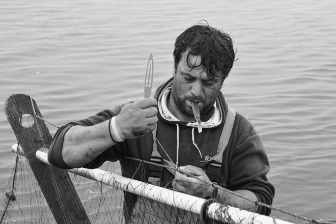 ahcravo_DSC_8777_rui_bw