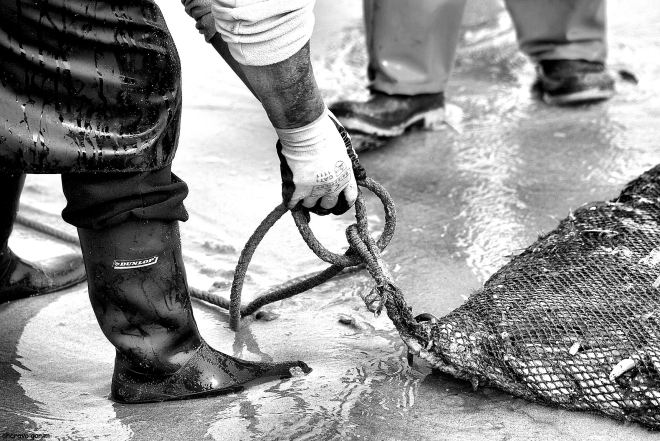 ahcravo_DSC_2697 s.josé cabo calime bw