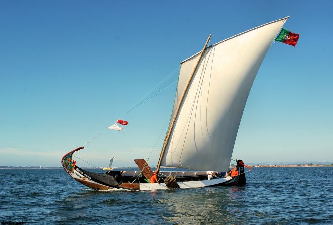 ahcravo_DSC_4311_regata 2010