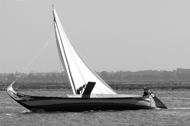 ahcravo_DSCN9259_1 bw