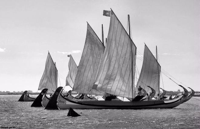 ahcravo_Imagem 1079 regata moliceiros bico bw