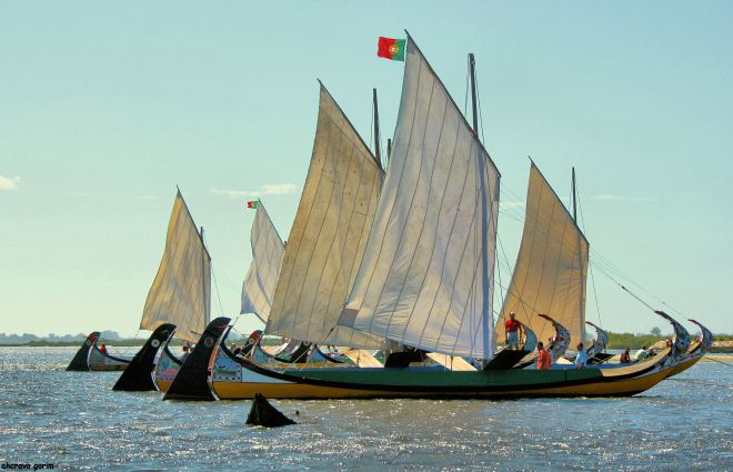 ahcravo_Imagem 1079 regata moliceiros bico