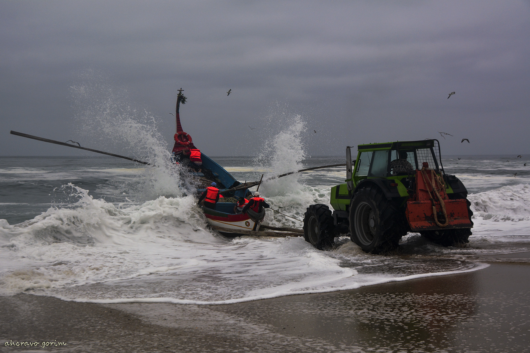 0 ahcravo_DSC_1205_marco 15