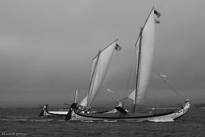 0 ahcravo_DSC_2030 bw