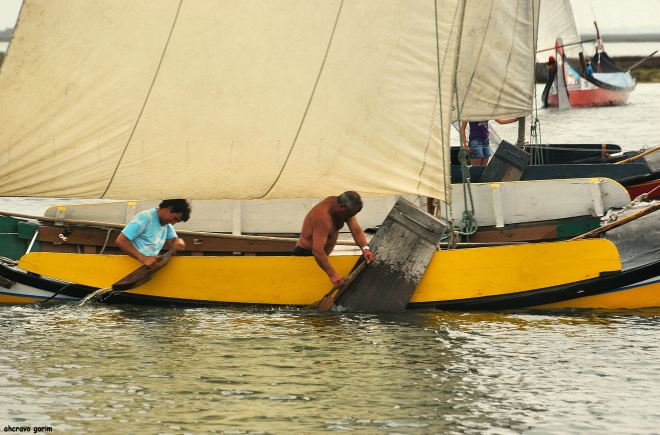 0 ahcravo_DSC_2825_reg bico 2010