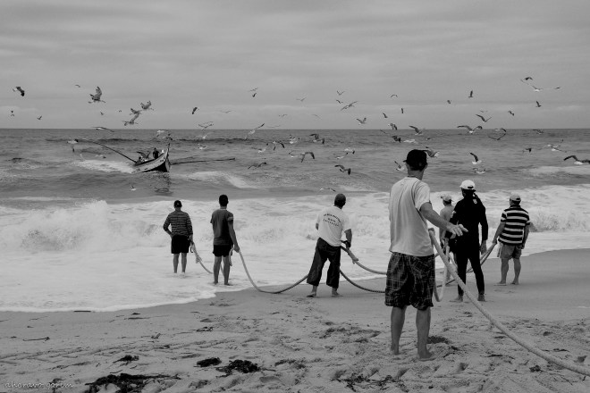 0  ahcravo_DSC_3812 bw