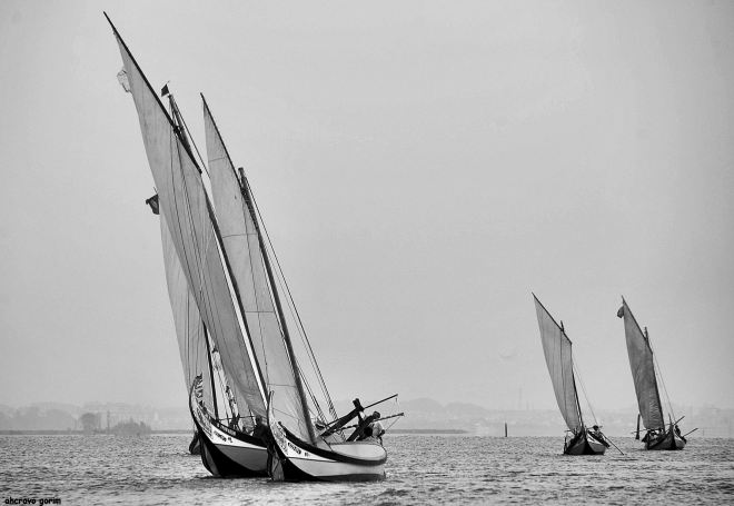 0 ahcravo_DSC_4248 bw