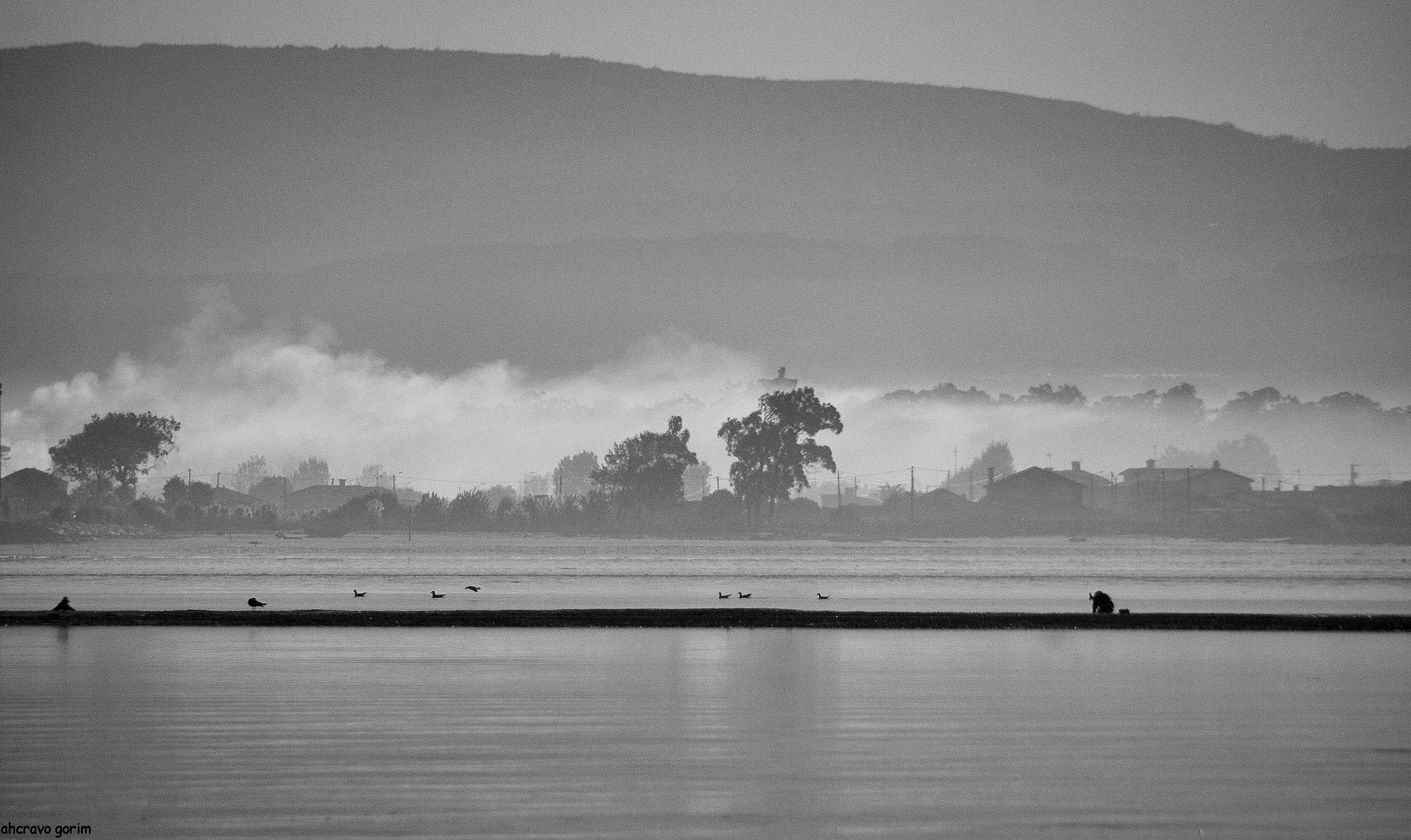 0 ahcravo_DSC_4793 bw