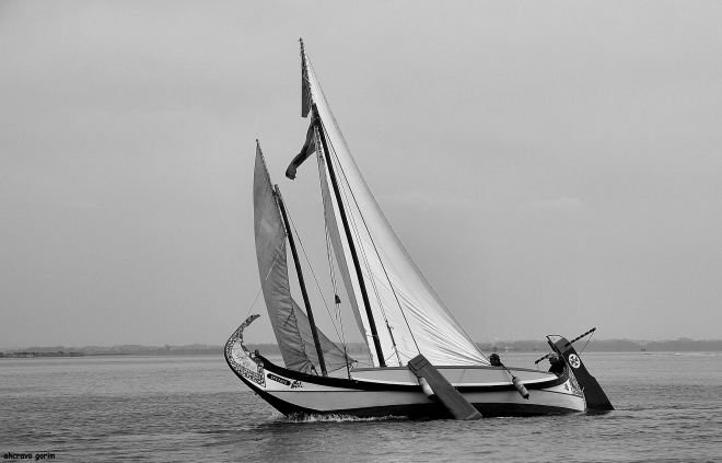 0 ahcravo_DSC_6153 bw