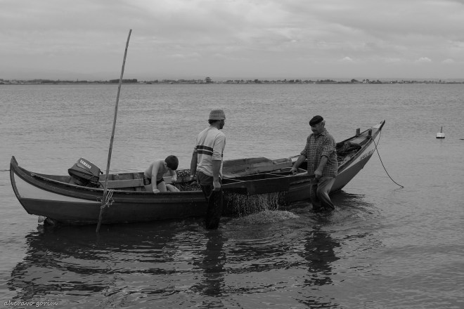 0 ahcravo_DSC_6901 domingos guerra e salvador bw
