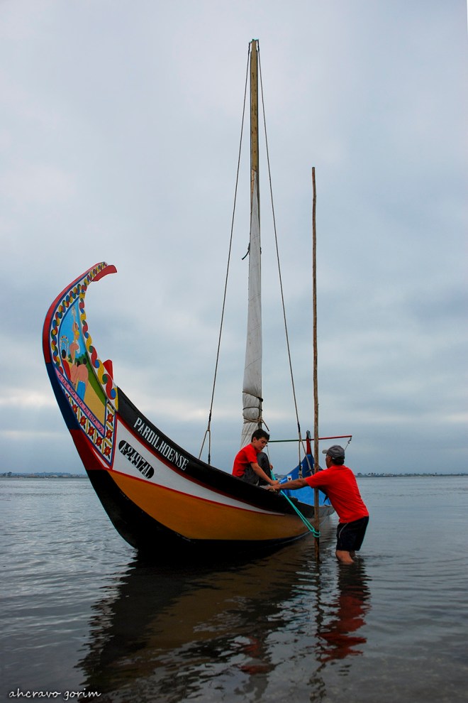 0 ahcravo_DSC_6075_pardilhoense