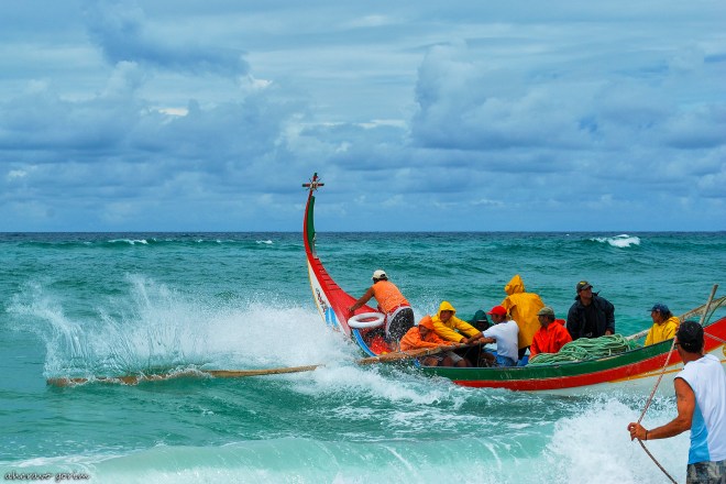 00 ahcravo_DSC_5730 marco 09 c.jpg