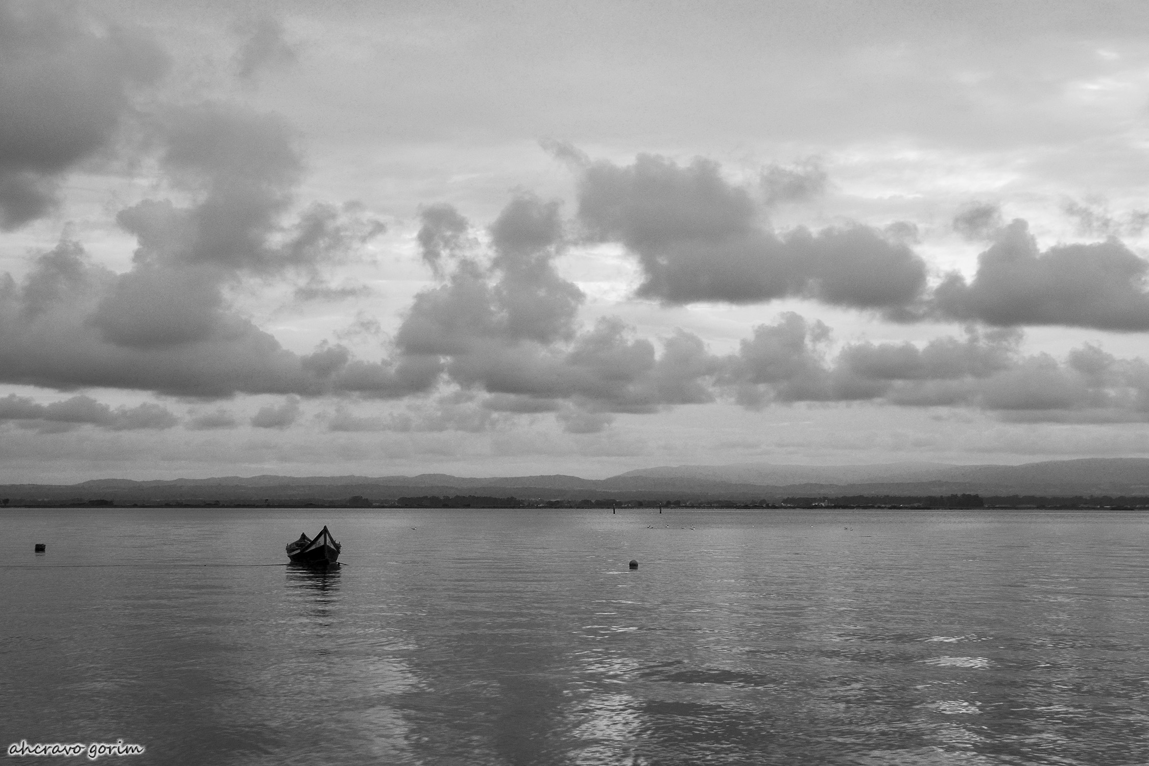 0 ahcravo_ DSC_7029 bw