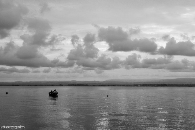 0 ahcravo_ DSC_7029 bw