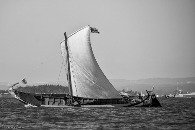 0 ahcravo_DSC_1237 bw