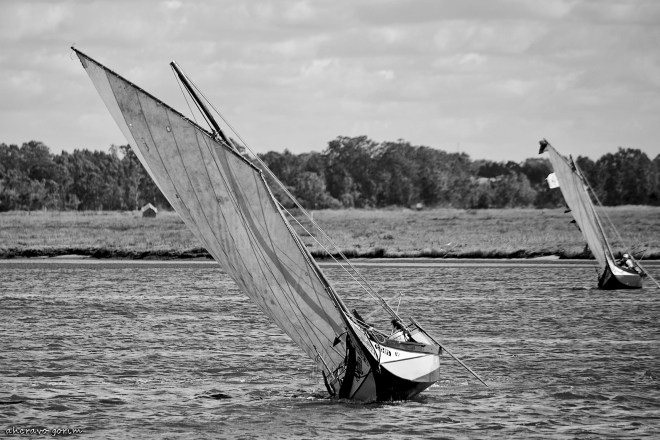 0 ahcravo_DSC_1526 bw