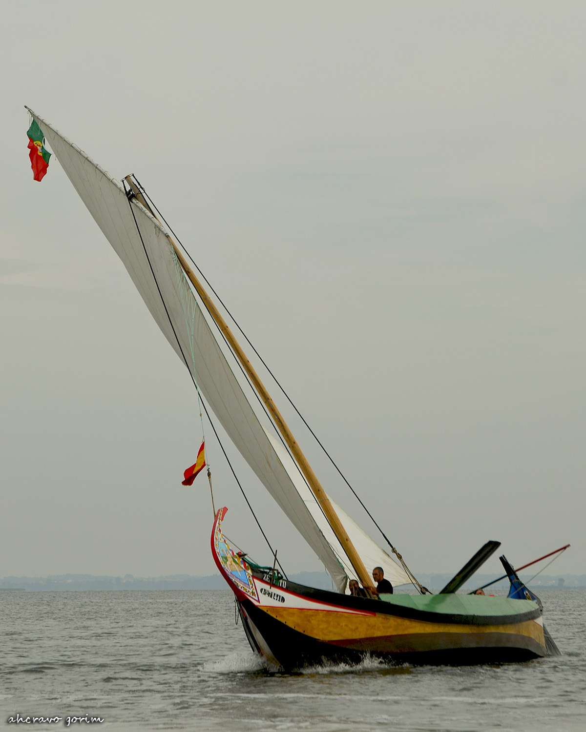 0 ahcravo_DSC_4250