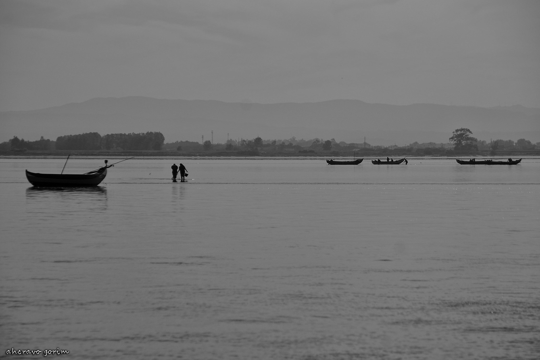 0 ahcravo_DSC_4741 bw