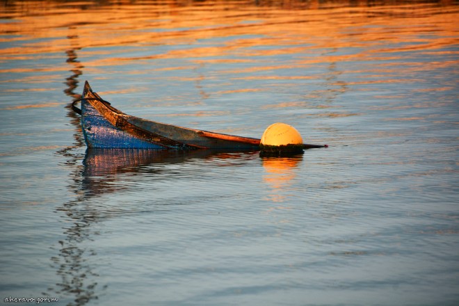 0 ahcravo_DSC_5489_bateira bico