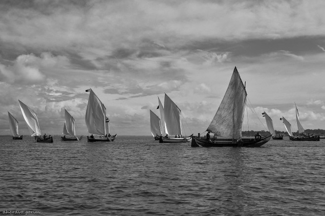 0 ahcravo_DSC_5549 bw