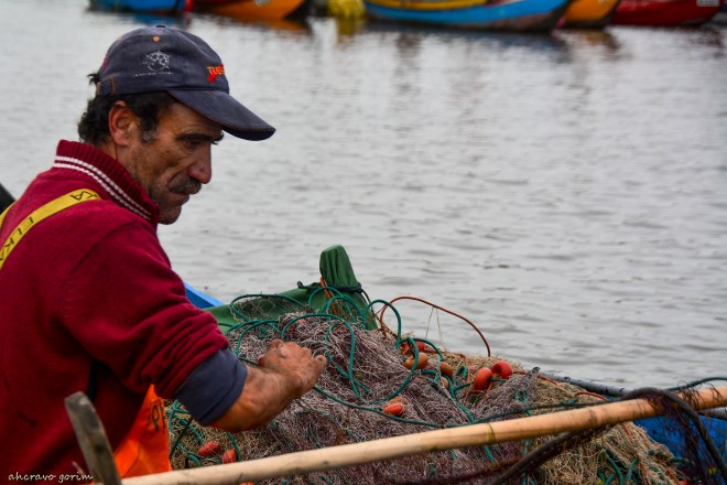 0 ahcravo_DSC_1090_pardilhoeiro