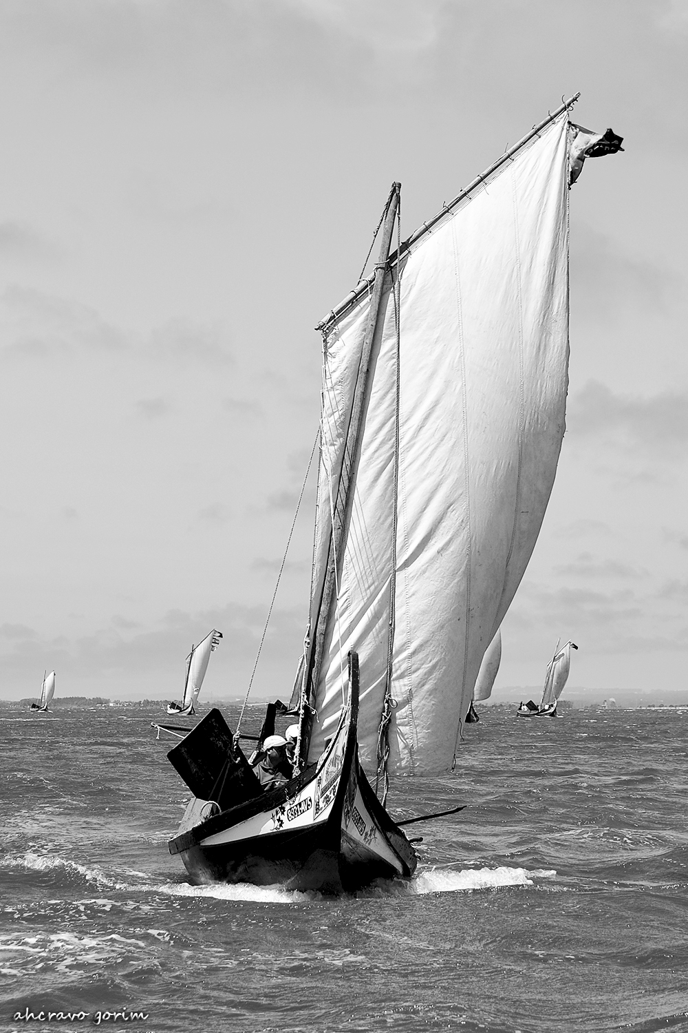 0 ahcravo_DSC_1991 bw